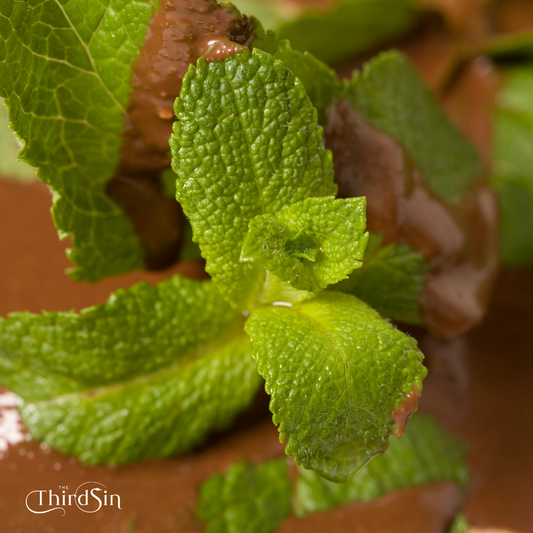 Handmade Belgian Dark Chocolate Bar – Moreish Mint Munch (100g)